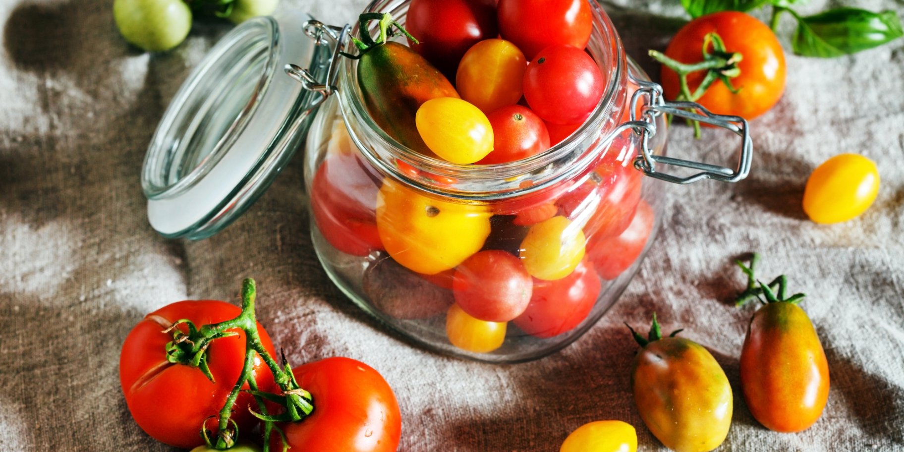 Помідори з морквяним бадиллям