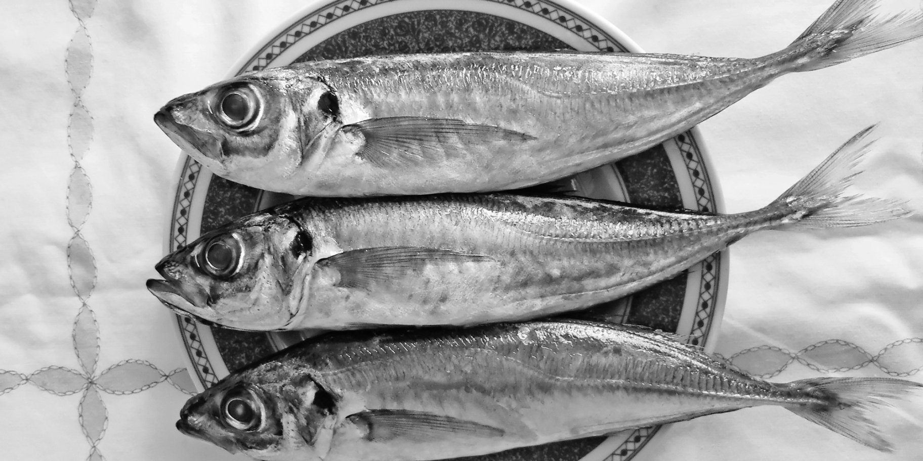 Як засолити ставриду