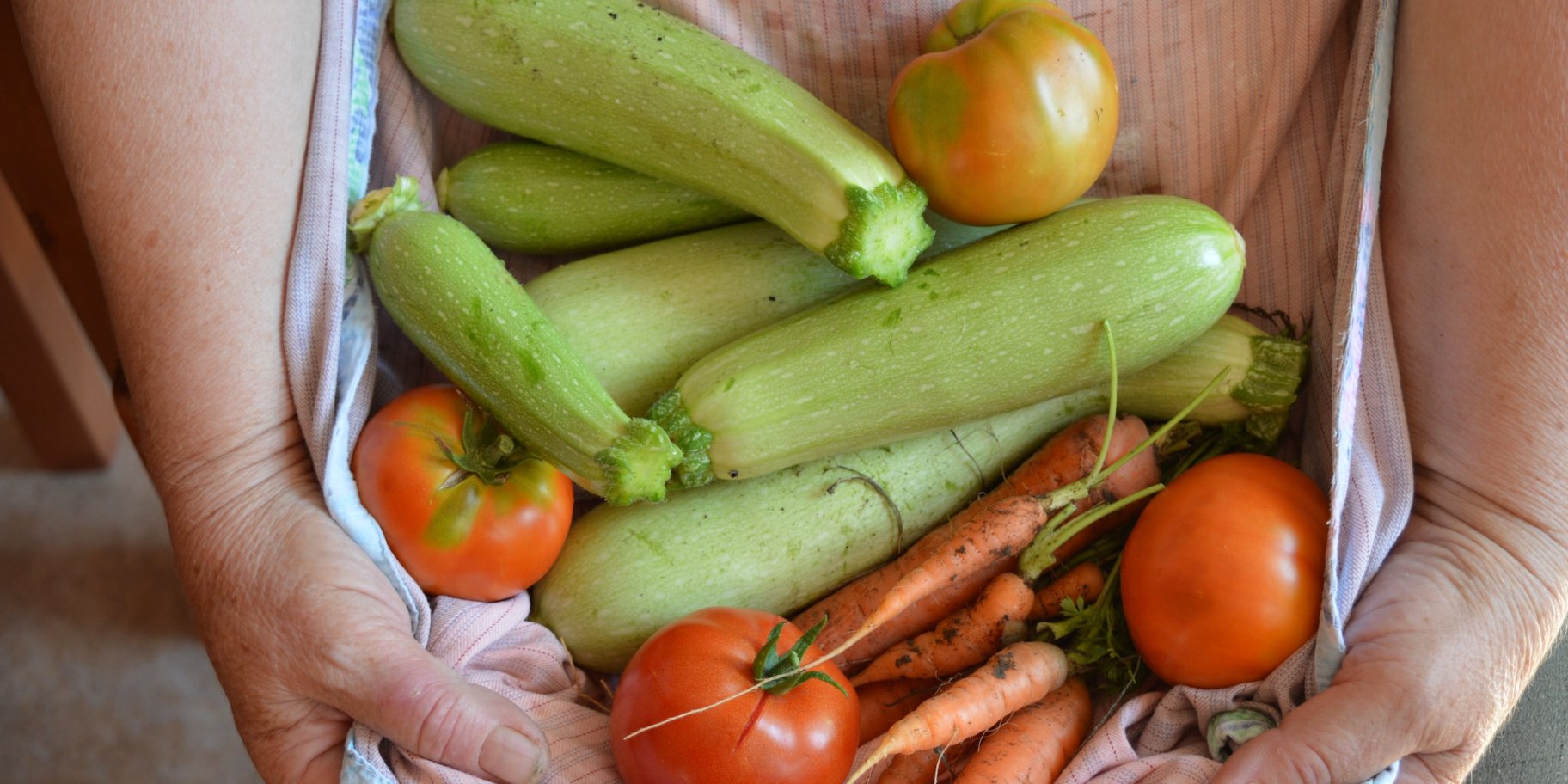 Кабачки и цукини