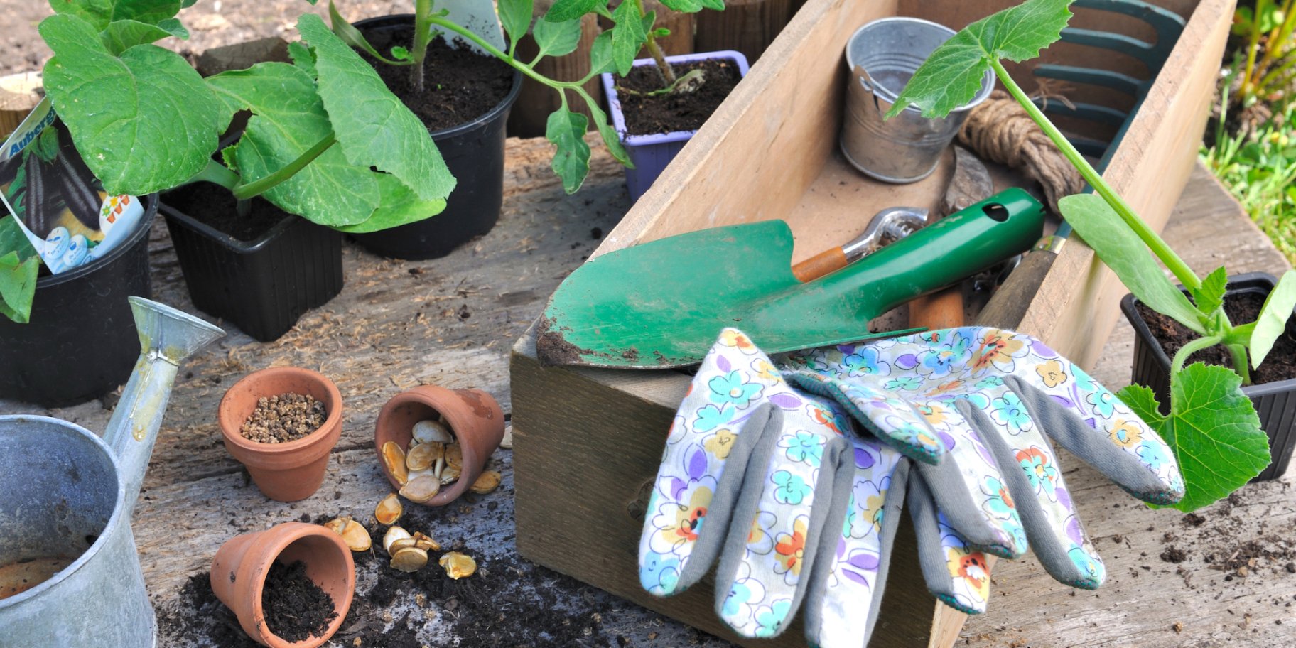 Календар садівництва-городництва