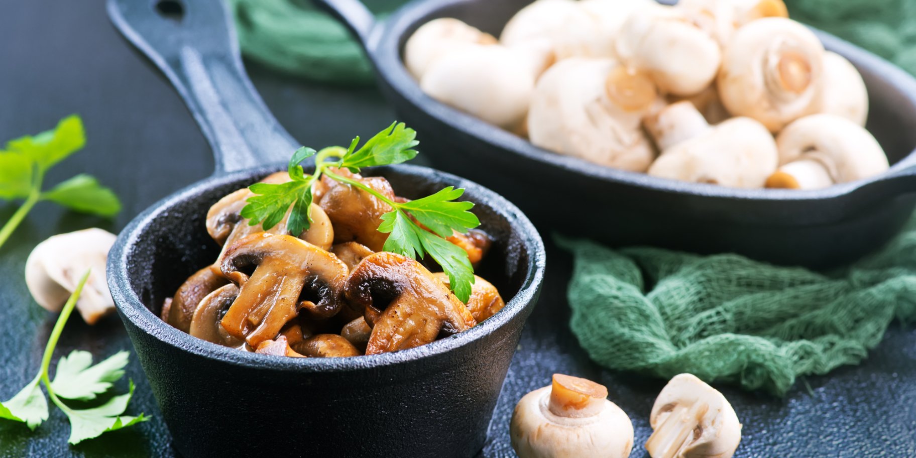 Гриби бордолез