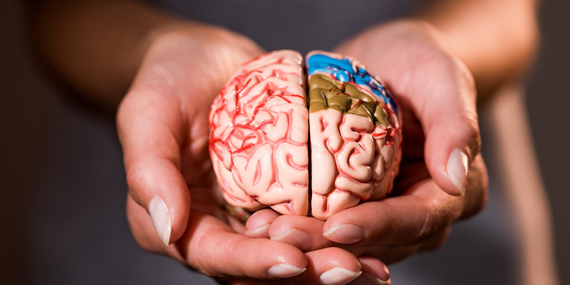 Здоровье мозга