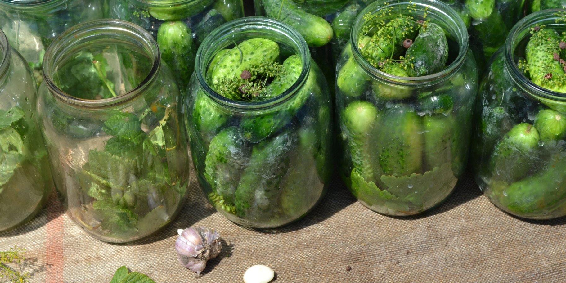 Квашені огірки за три дні