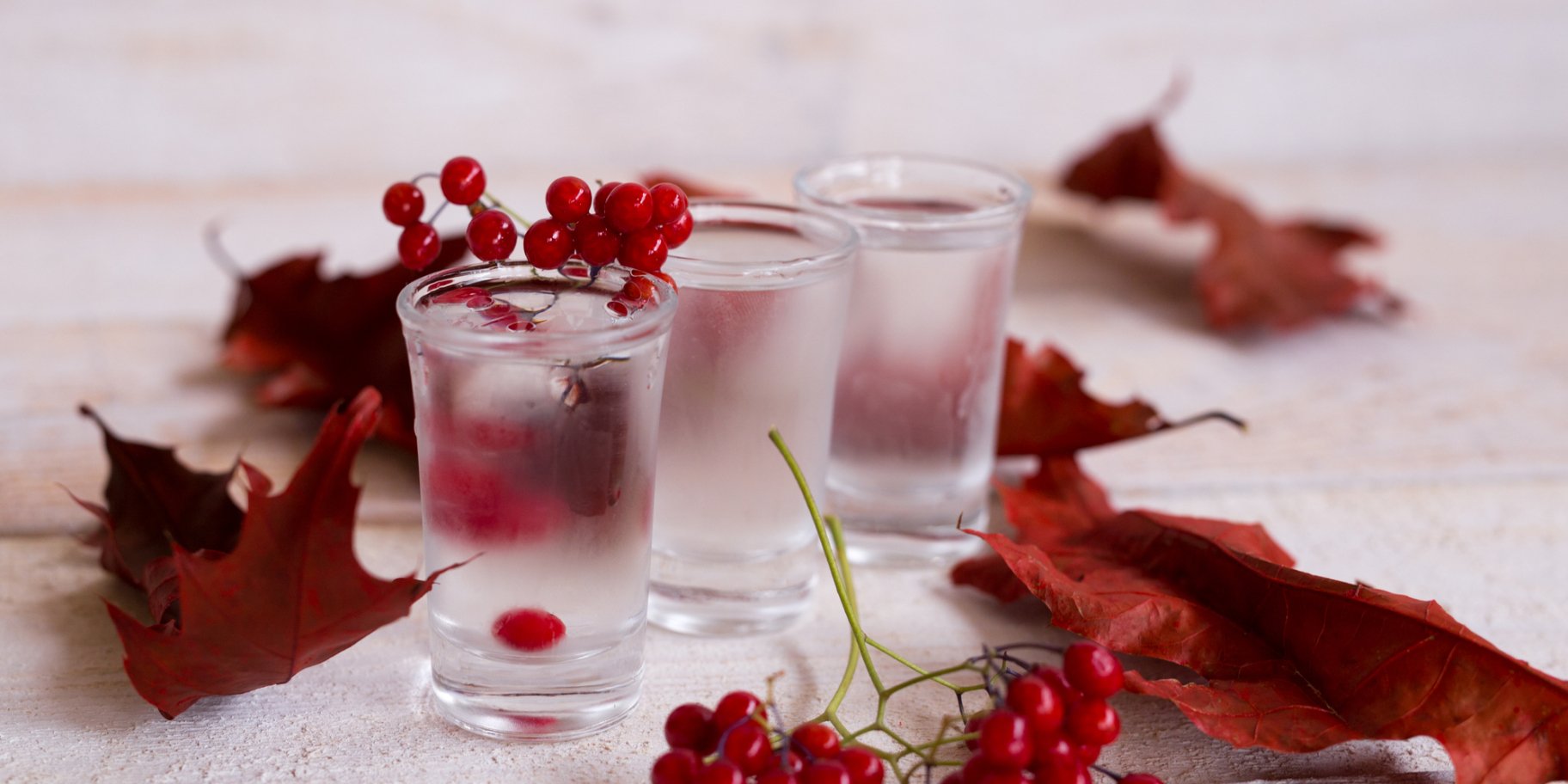 Смородинова калинівка