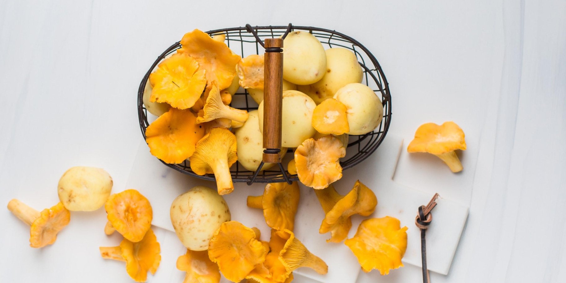 Як сушити гриби