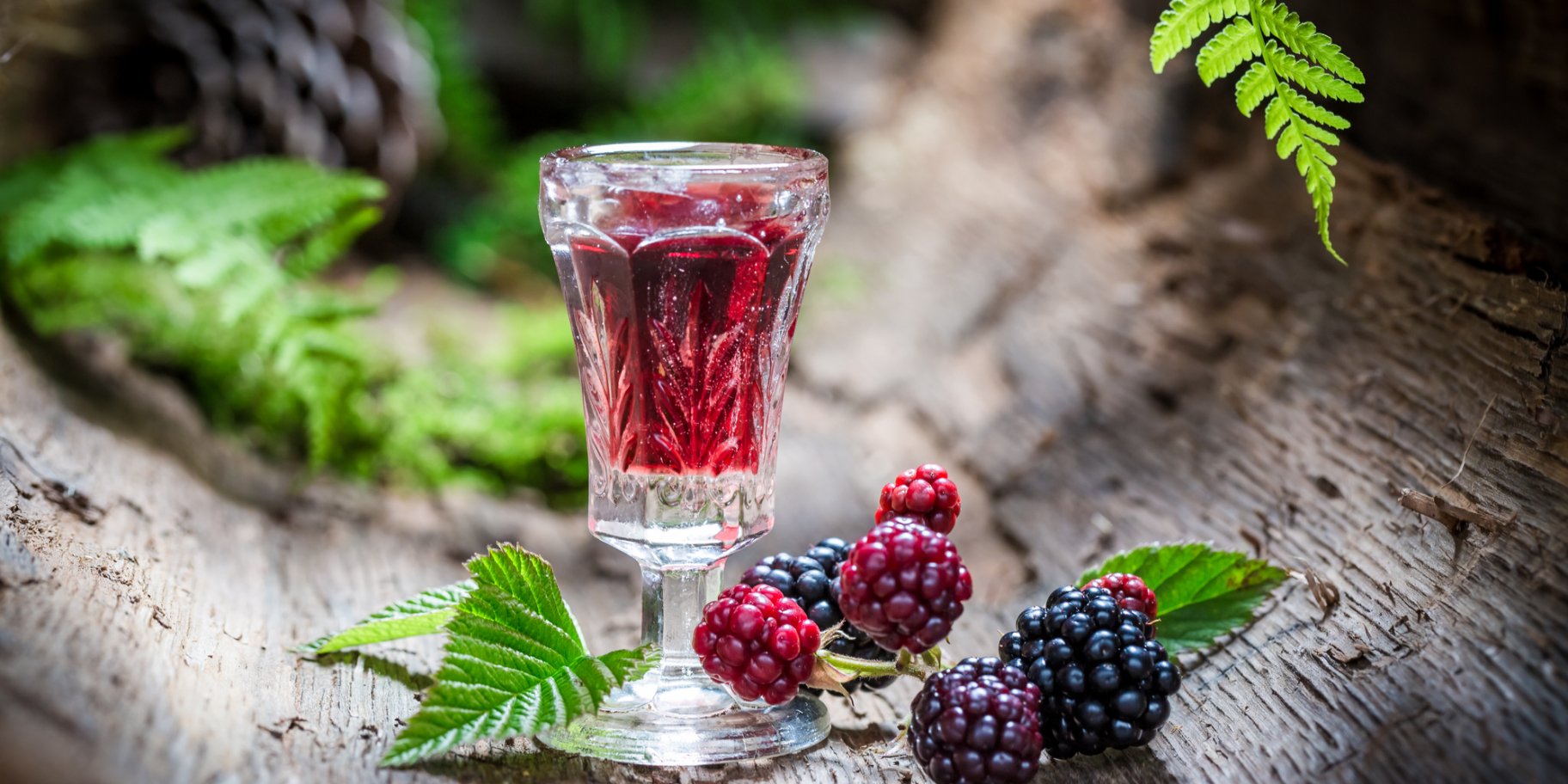 Настойка из ежевики