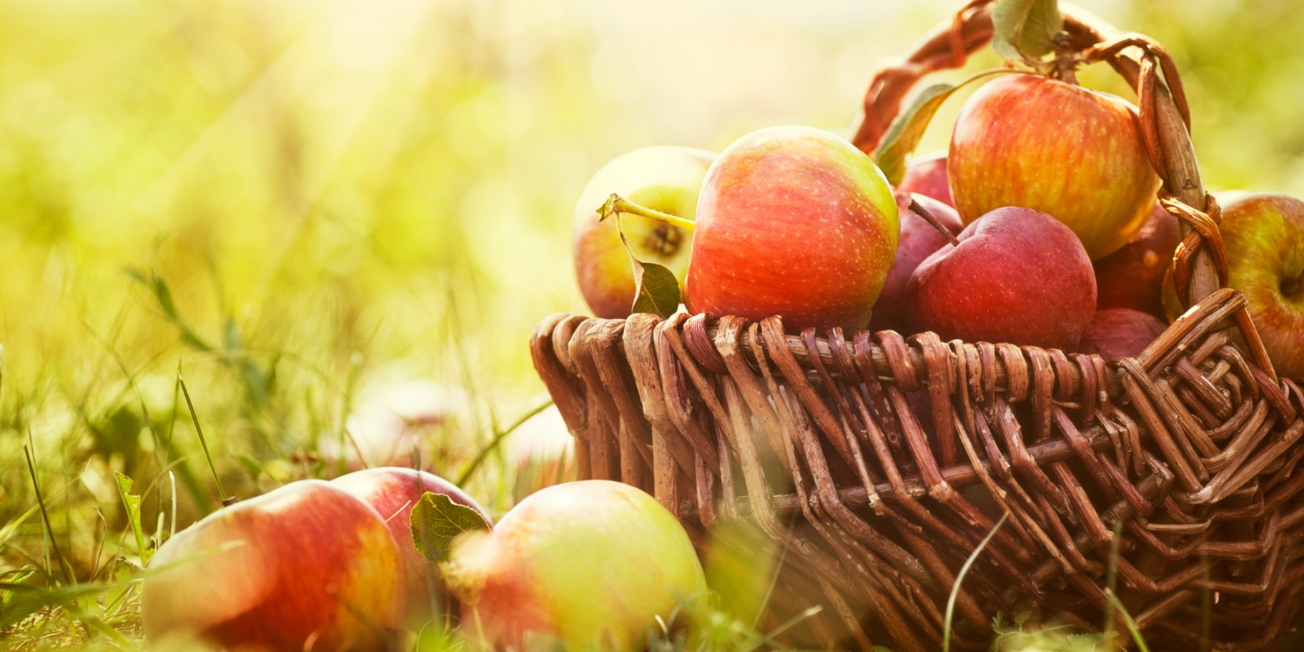 Слава Победителям