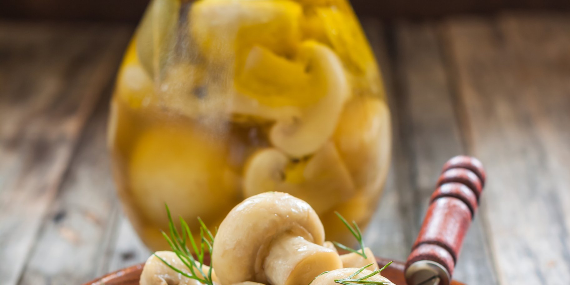 Печериці в олії рецепт