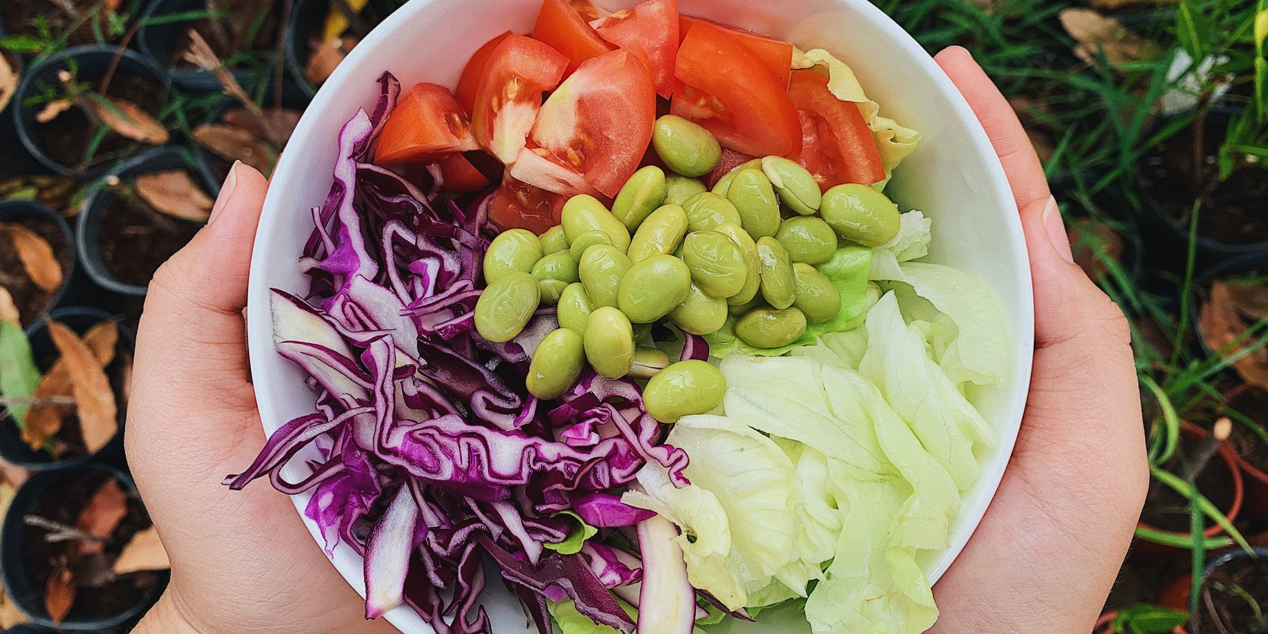 Вегетаріанство