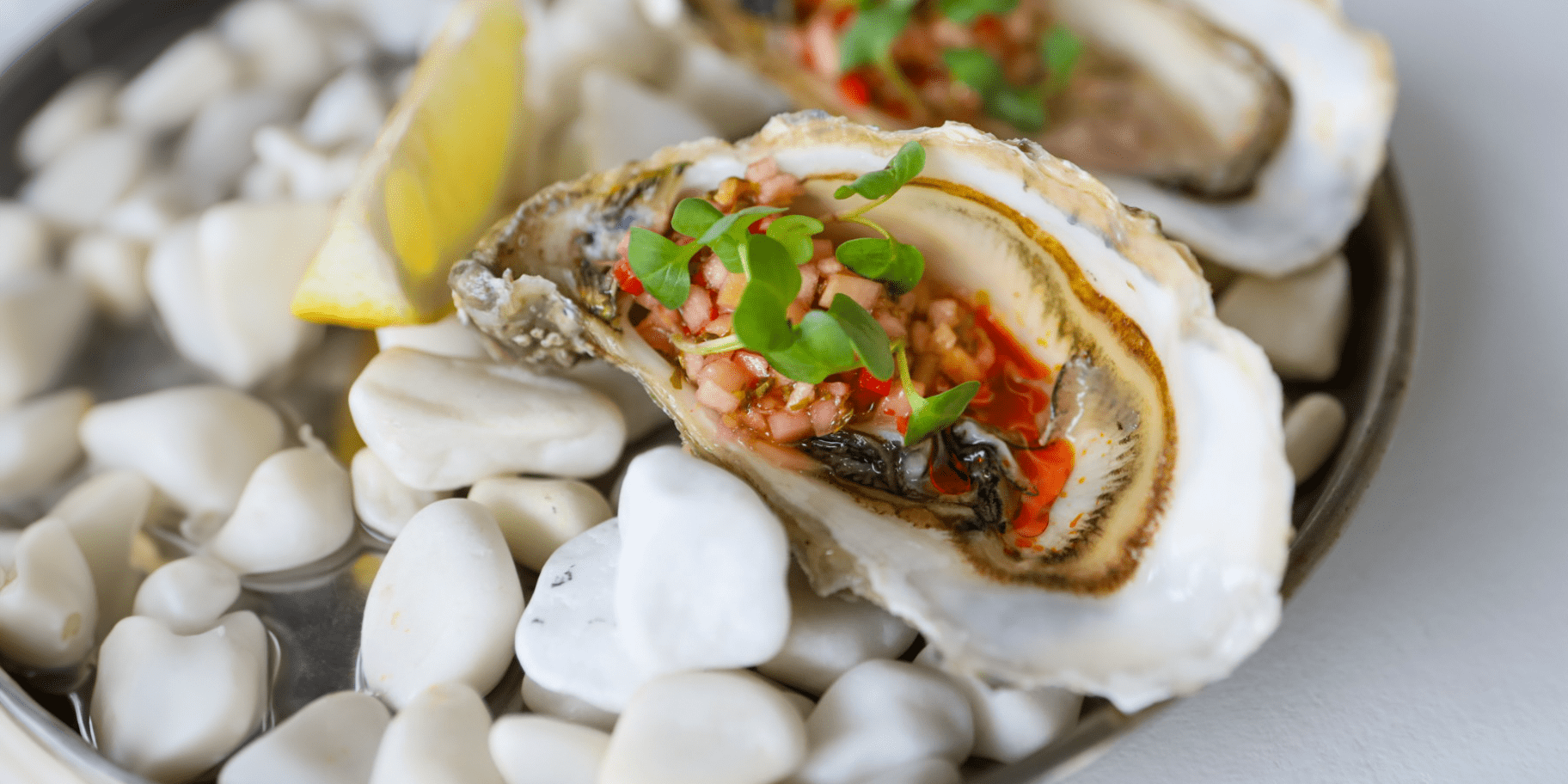 Устриці з тартаром з чилі та кінзою