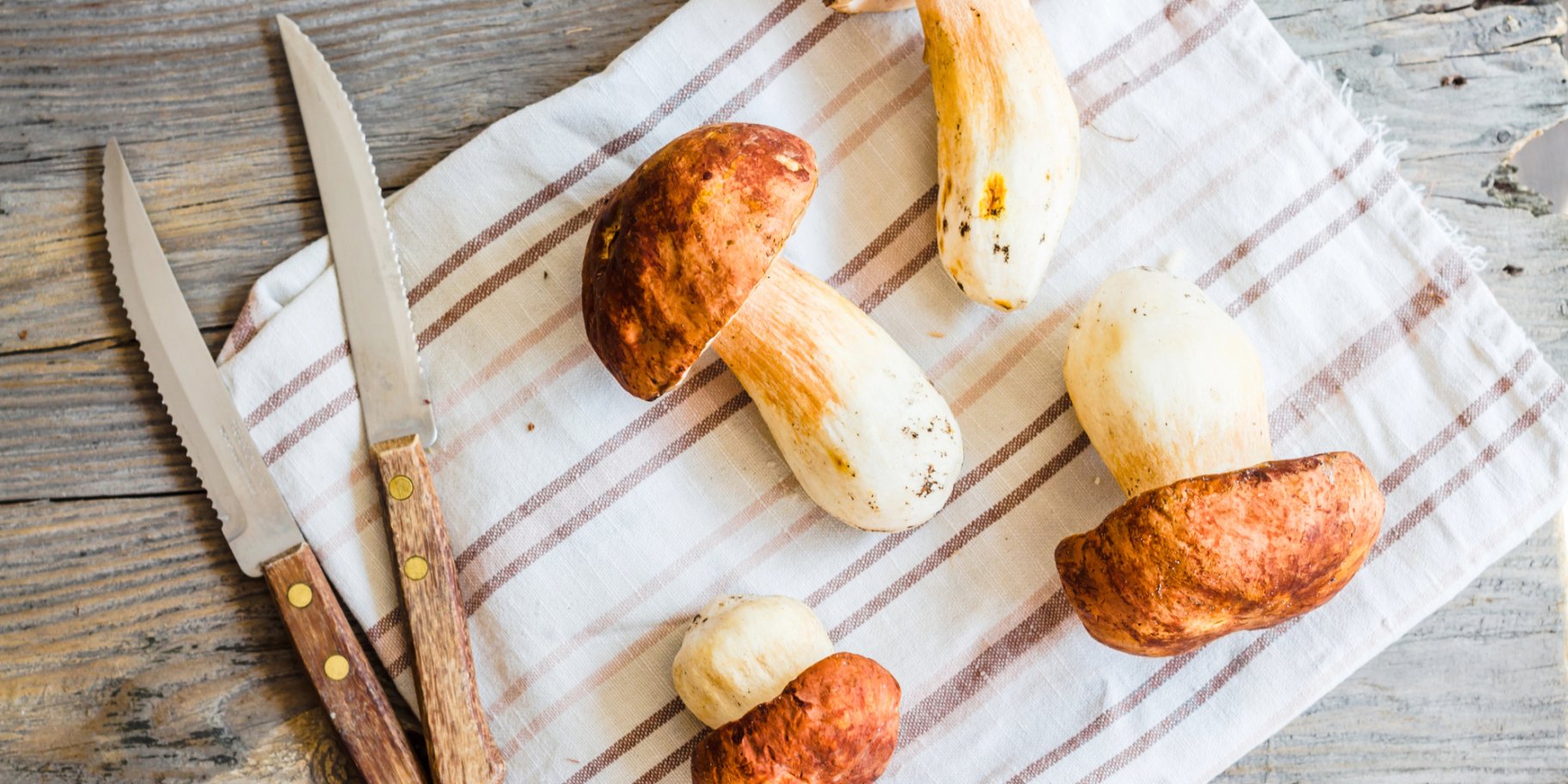 Як правильно готувати білі гриби