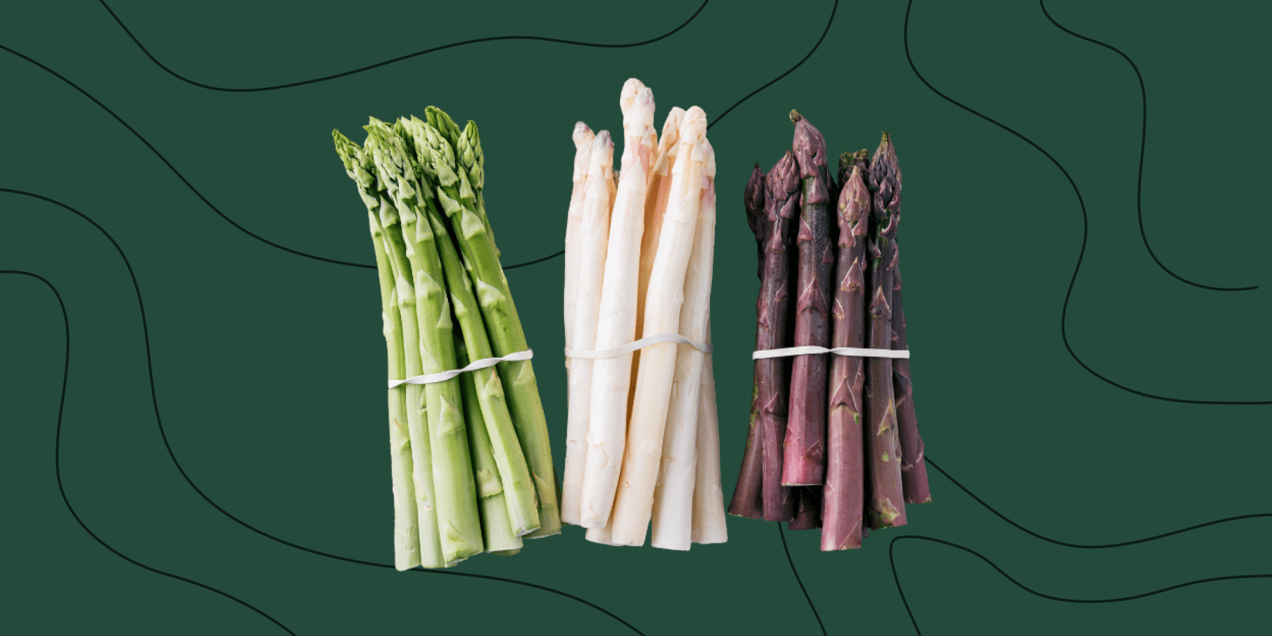 Спаржа