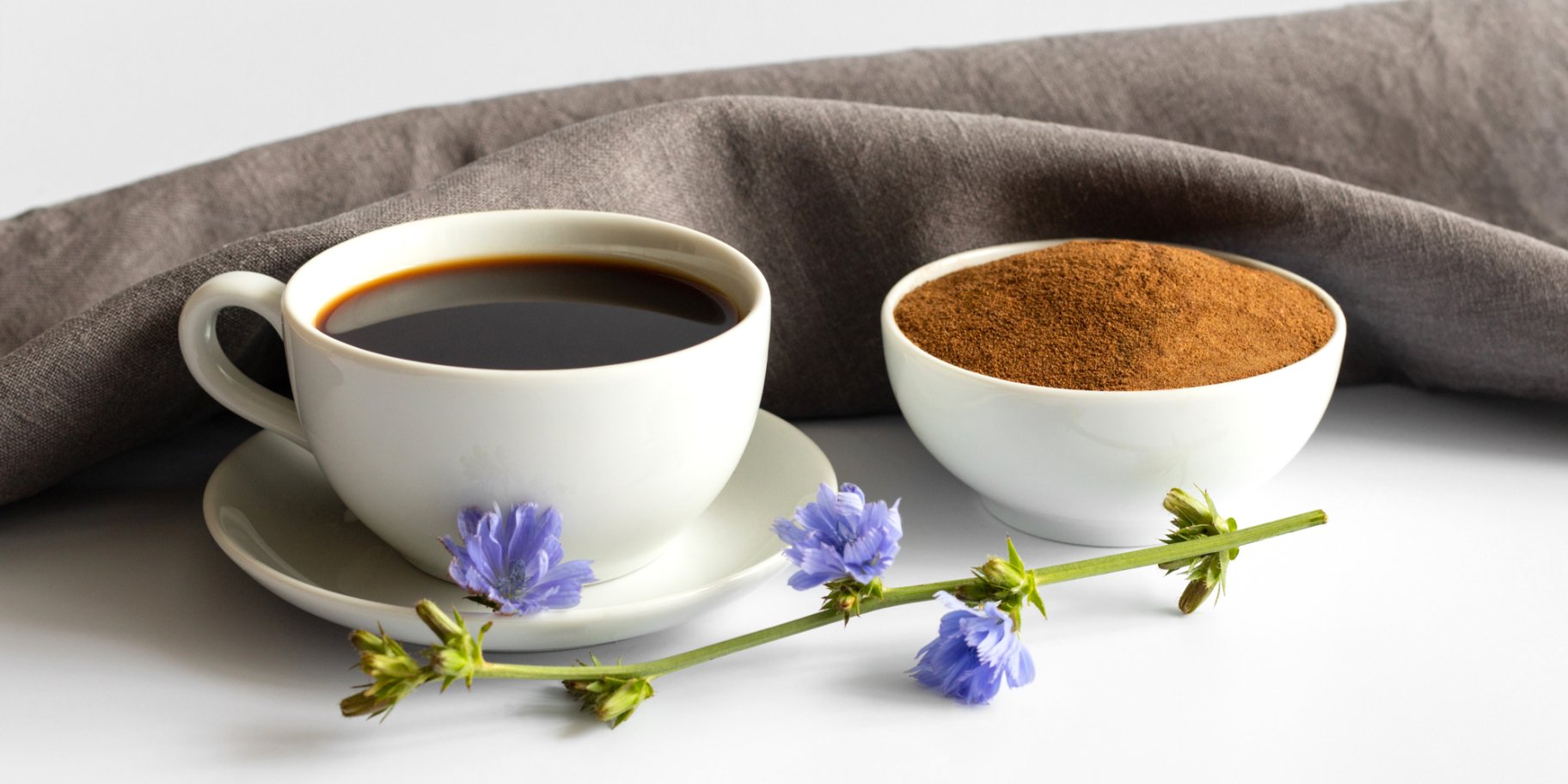 Цикорій користь