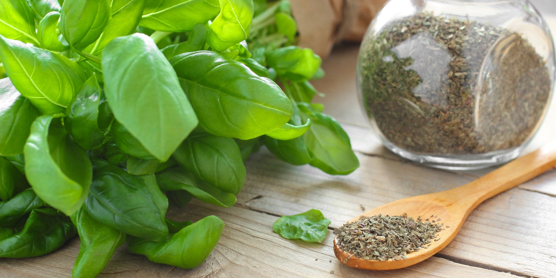 Зелений і сушений базилік
