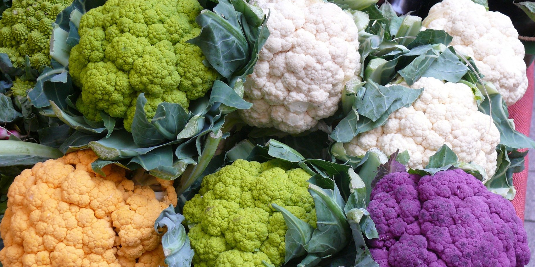 Цвітна капуста