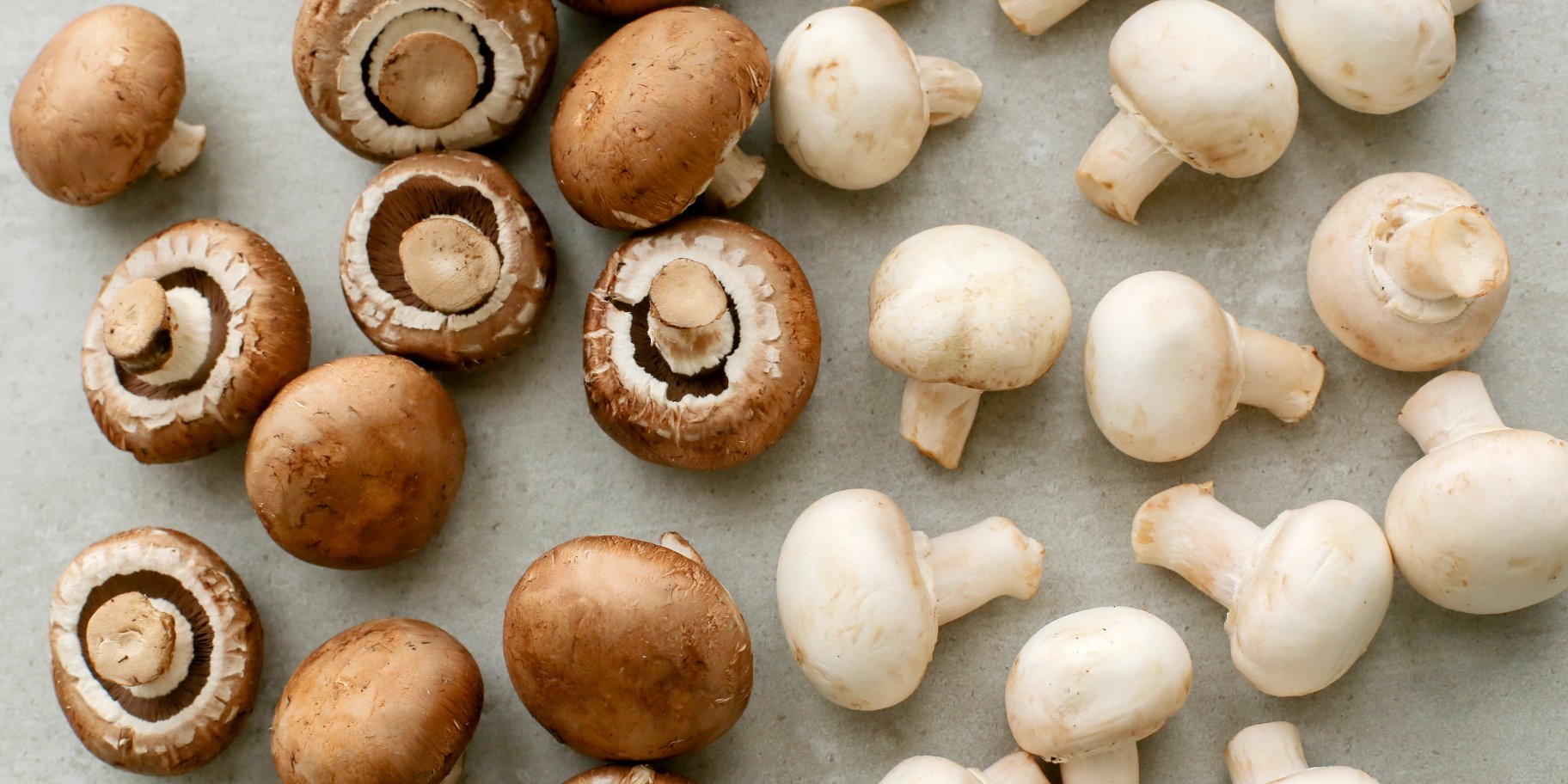 Чи можна дітям гриби