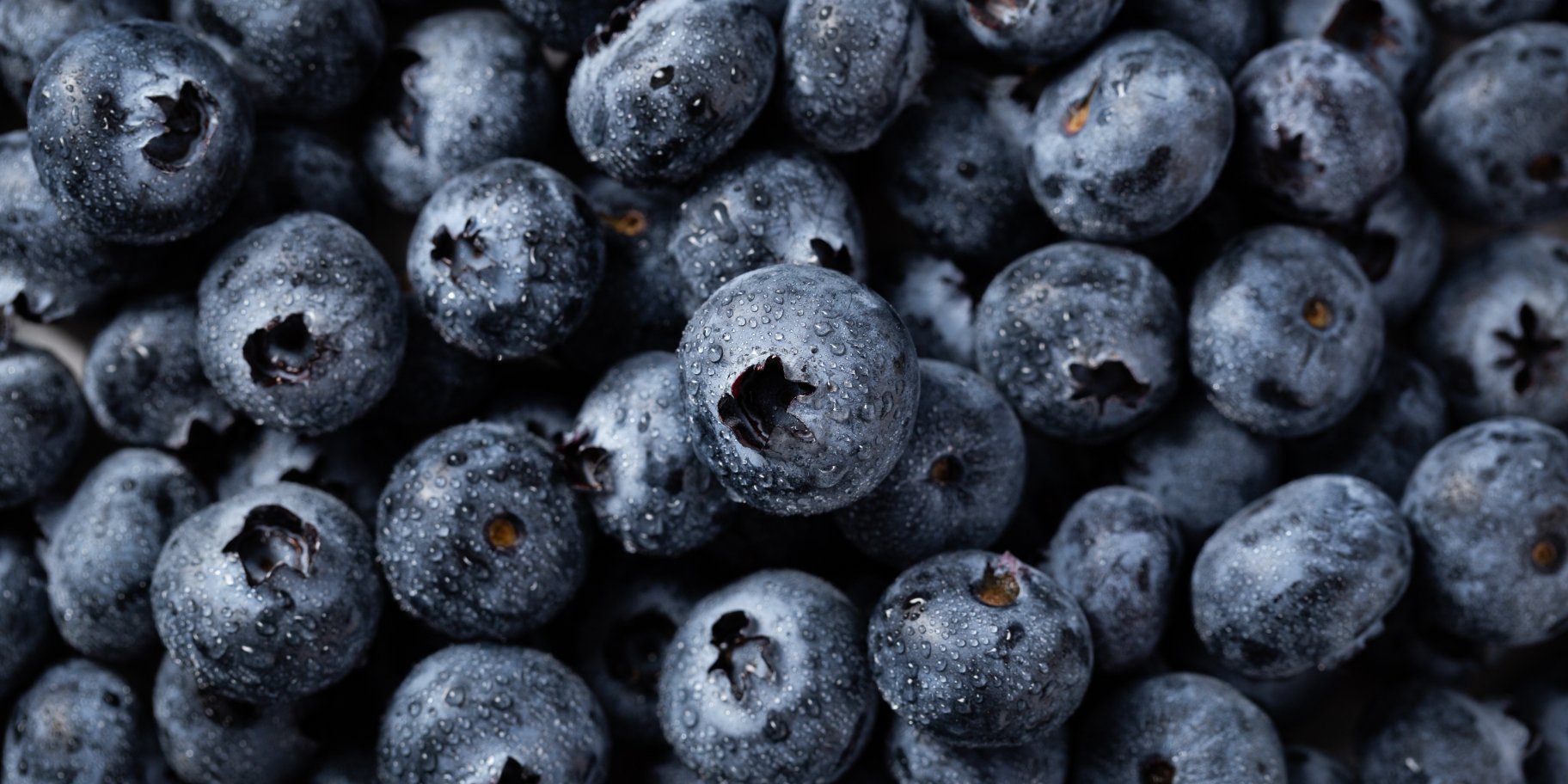 Користь лохини