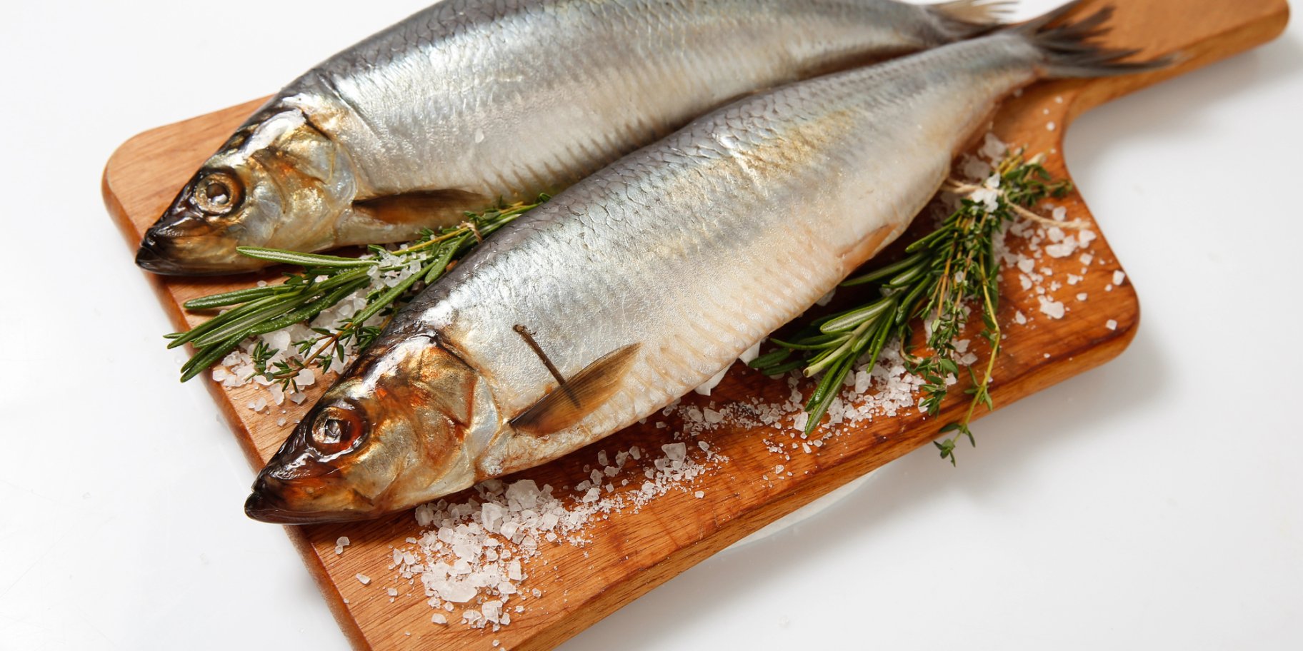 Солоний оселедець