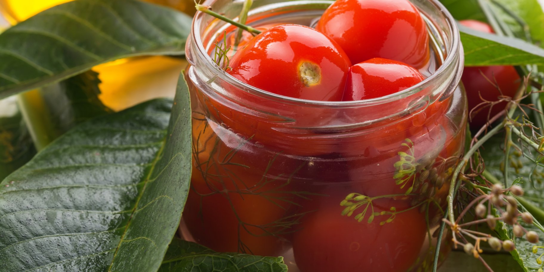 Квашені томати