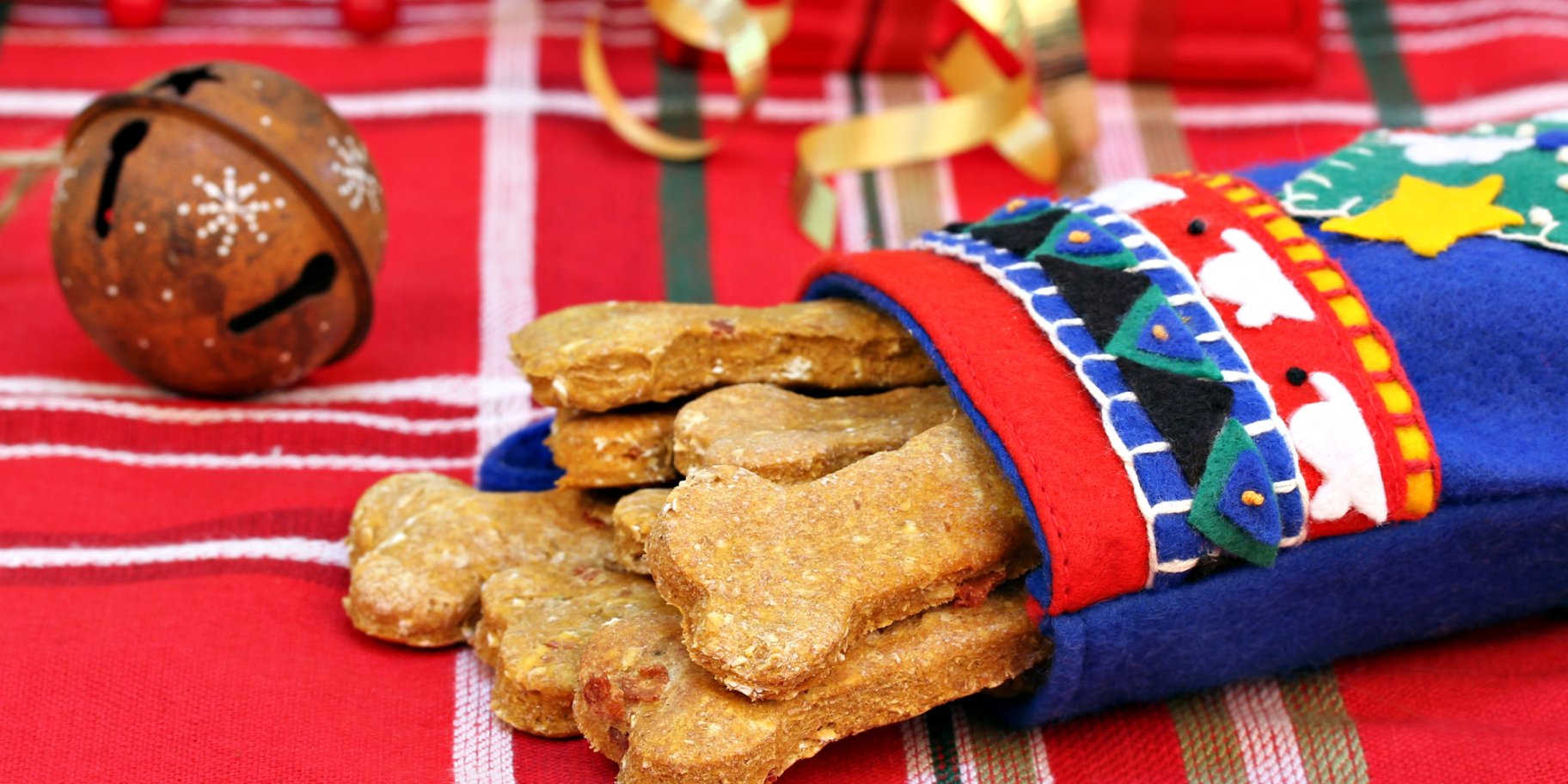 Собаче печиво