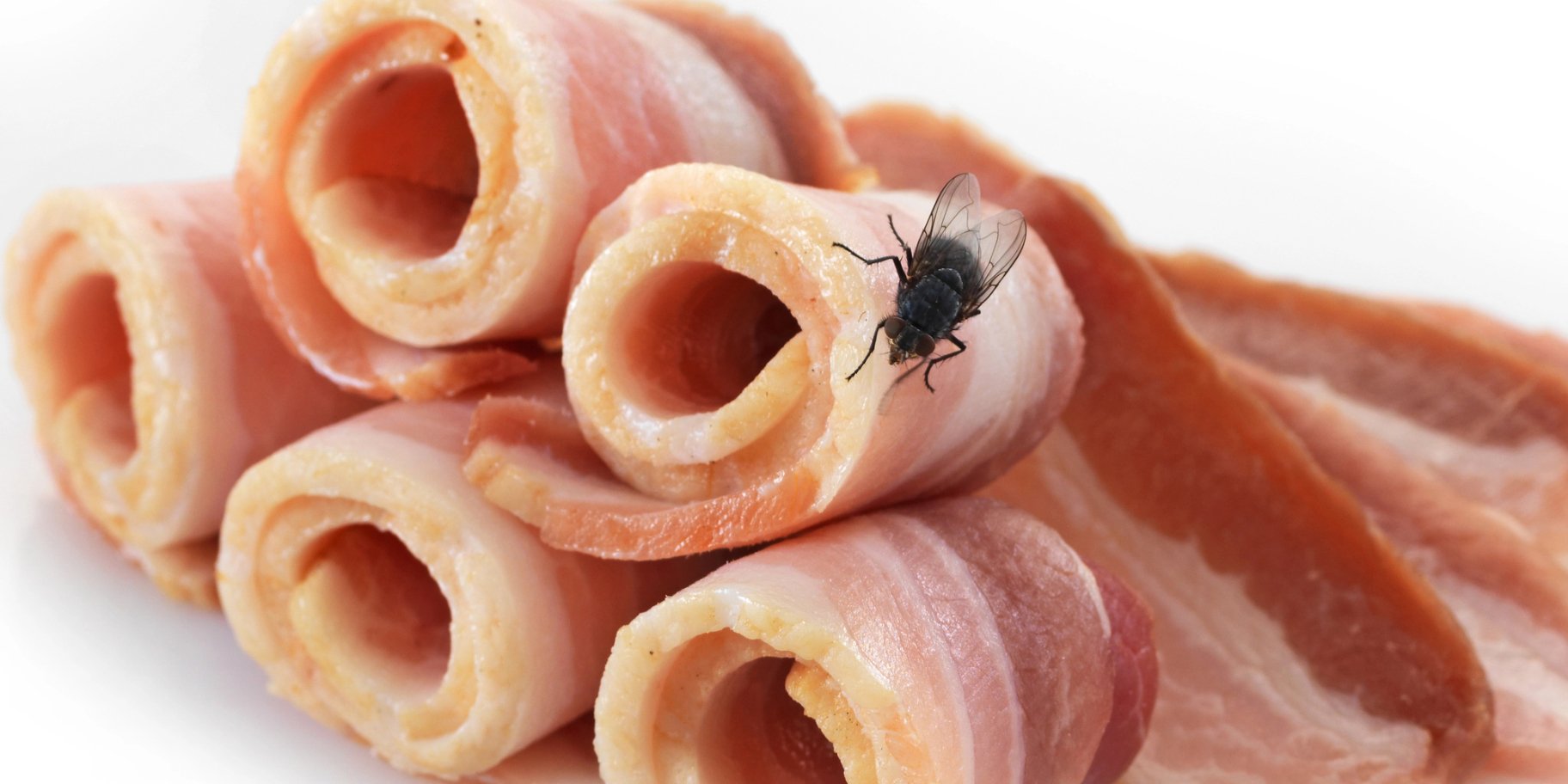 Як позбутися мух