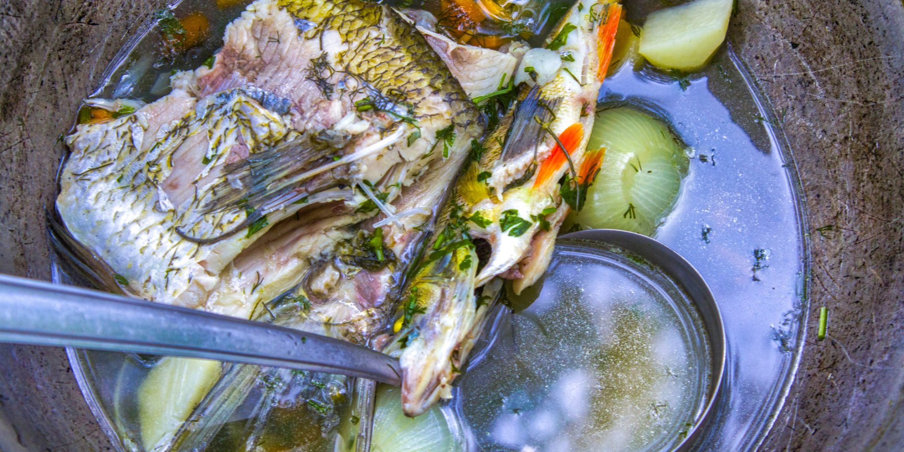 Таврійська рибна юшка