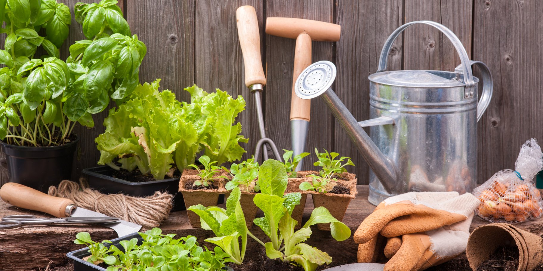 Садоводство