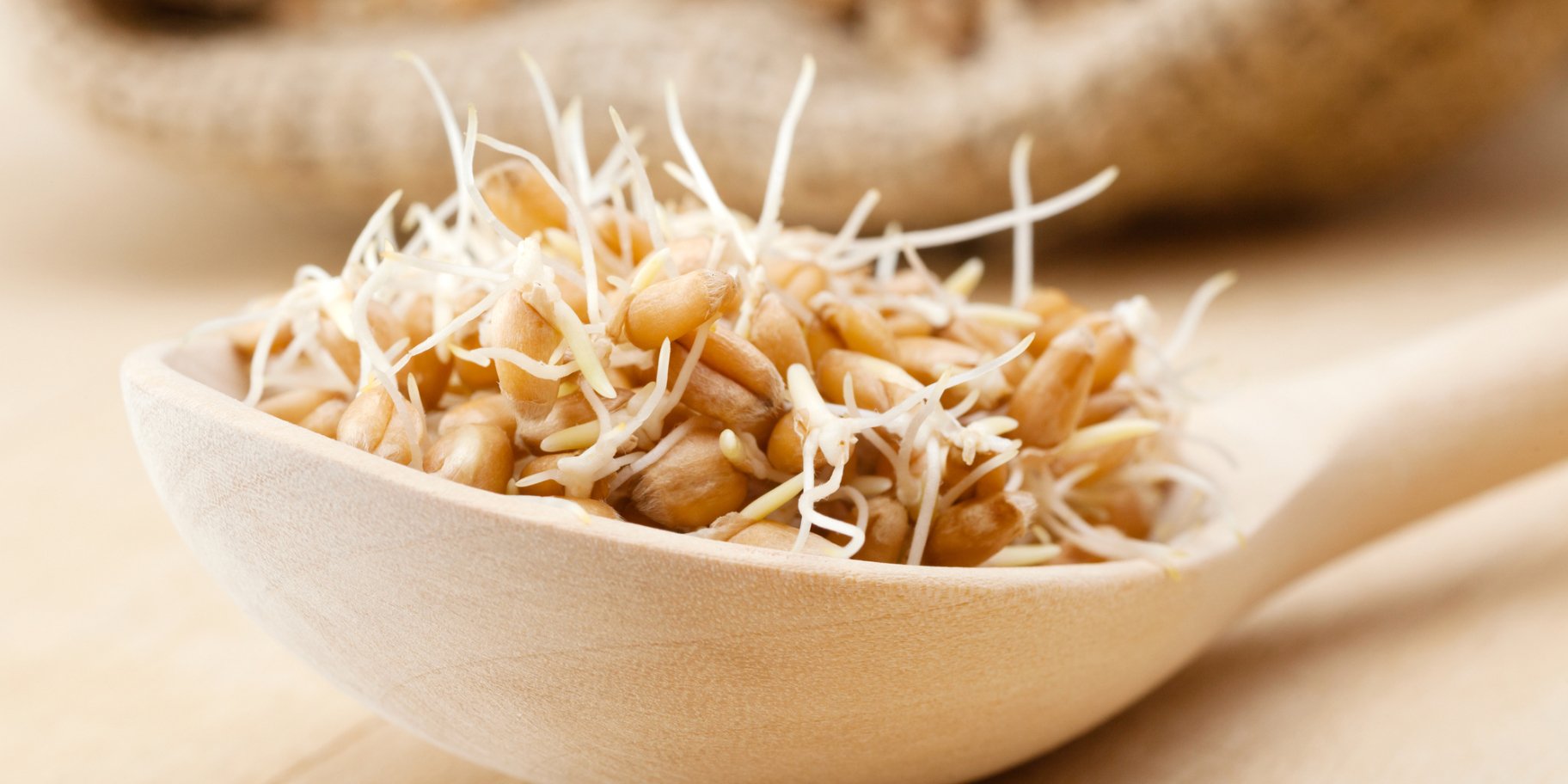 Зародки пшениці порція