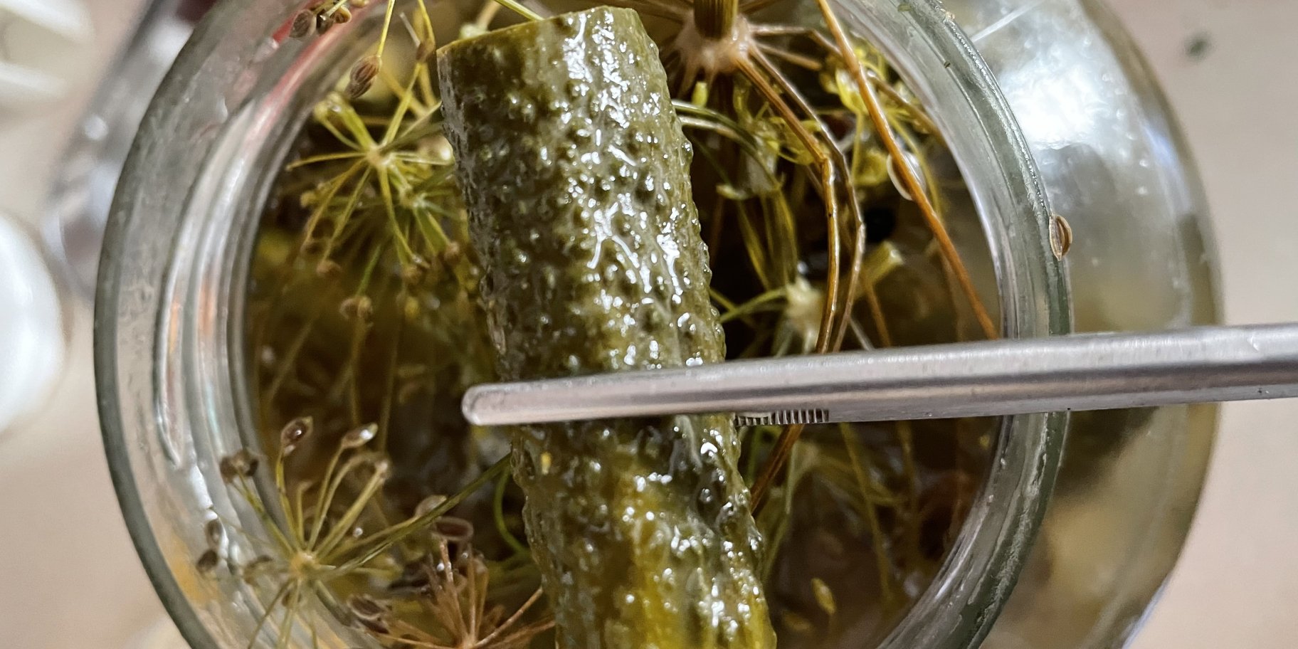 Солоні огірки