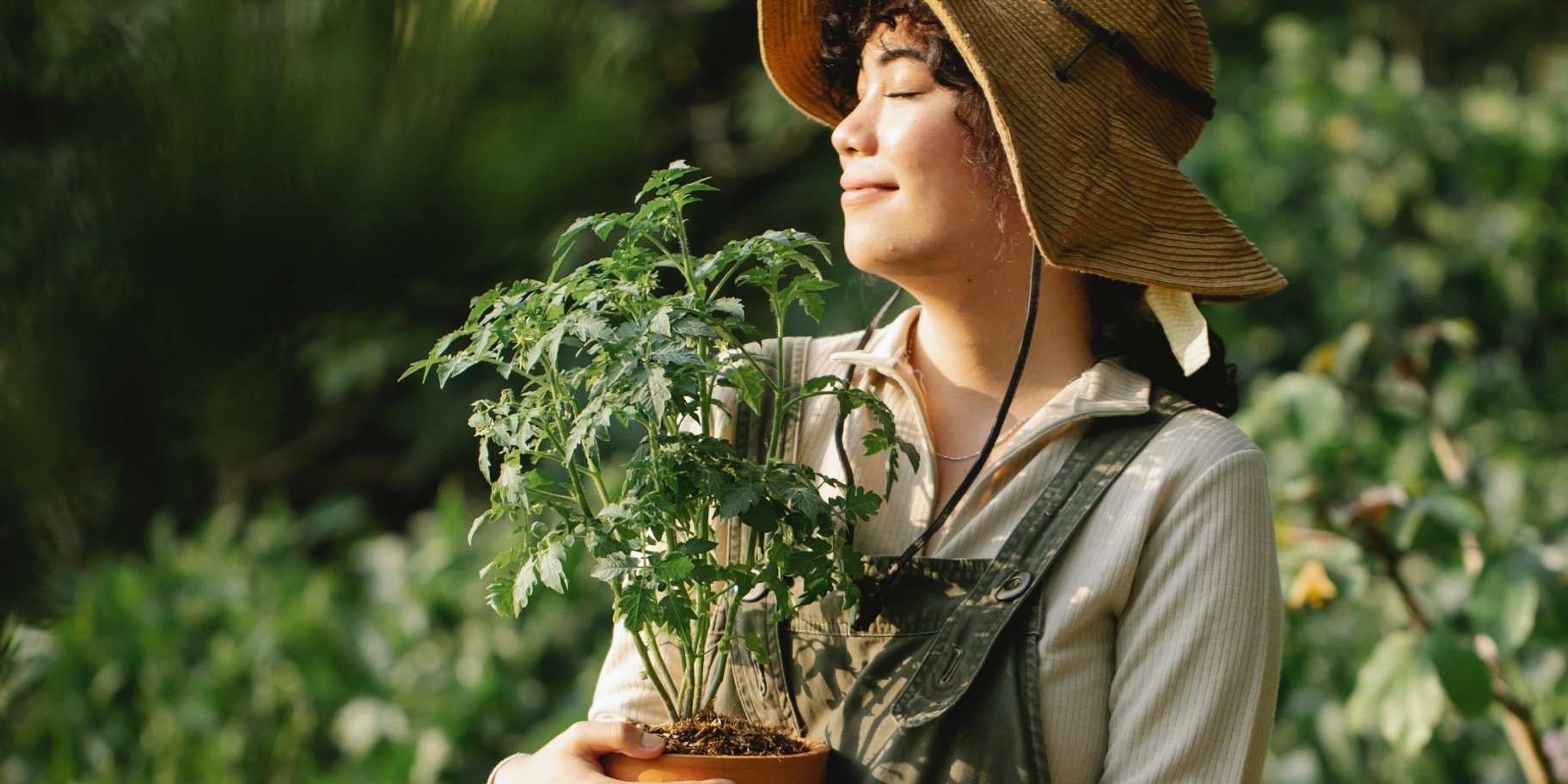 Стале приготування їжі