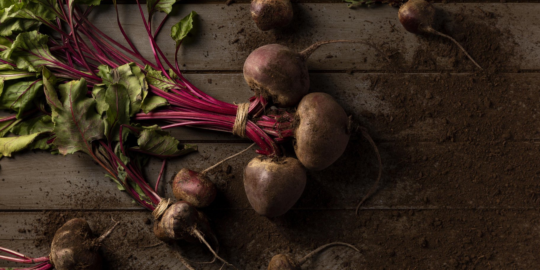 Столовий буряк