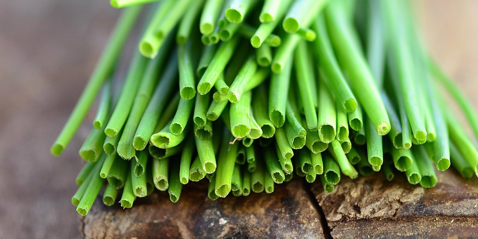 Зелена цибуля