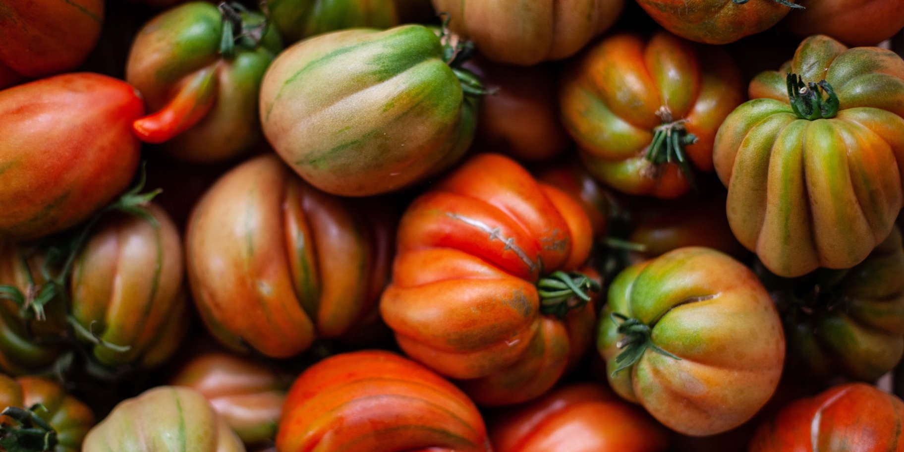 томати помідори