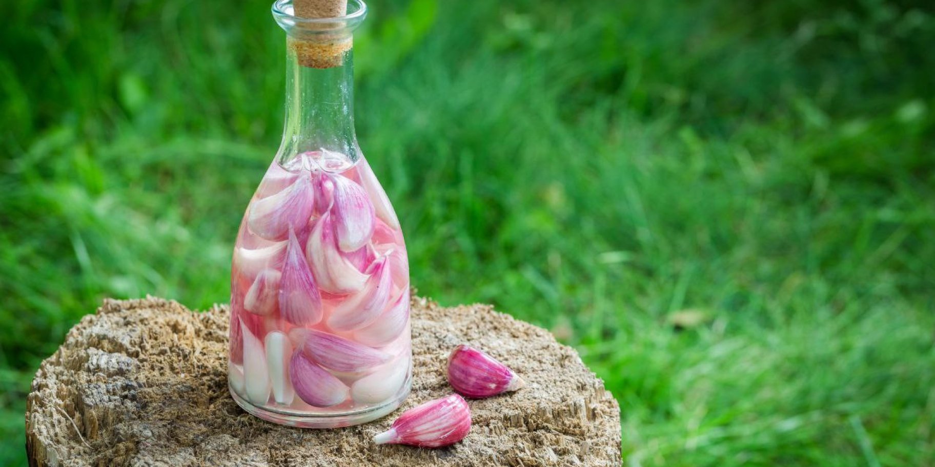 Настойка чеснока на водке