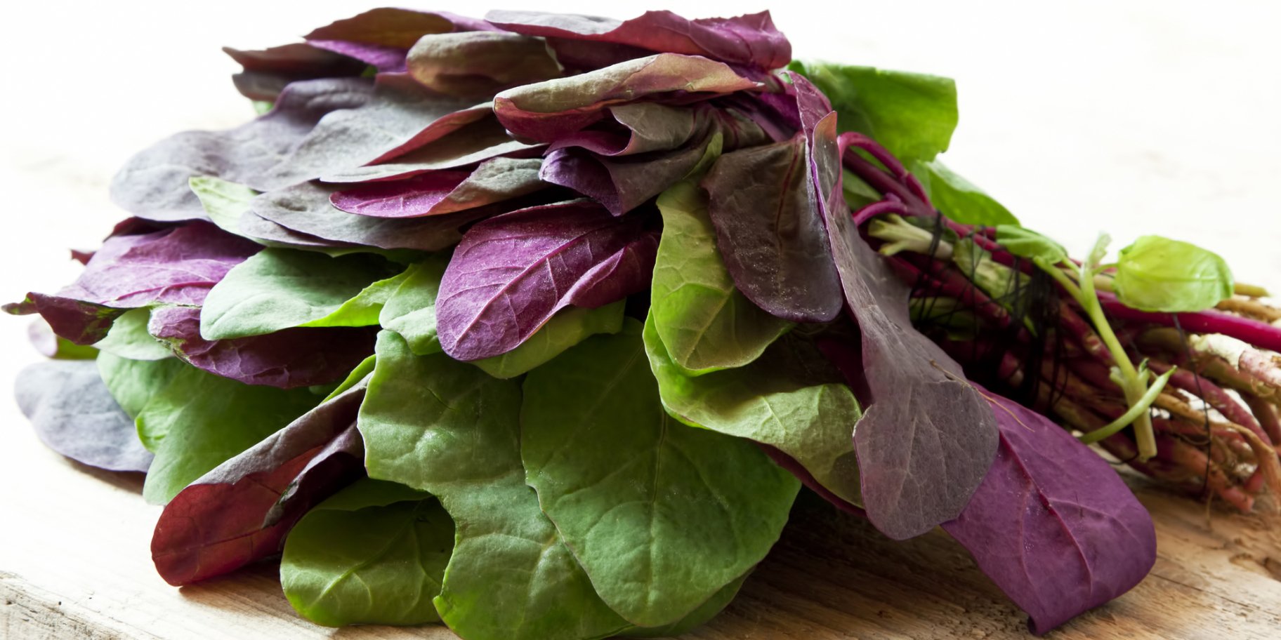 Лобода і шпинат