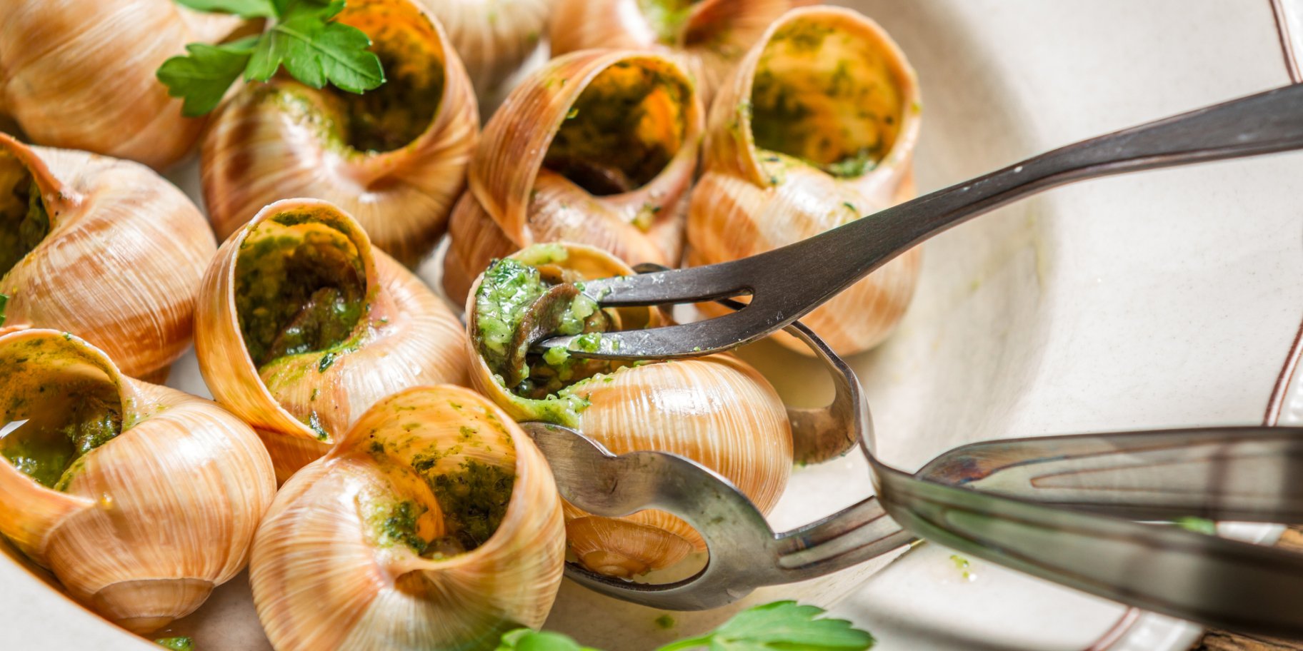 равлики ескарго