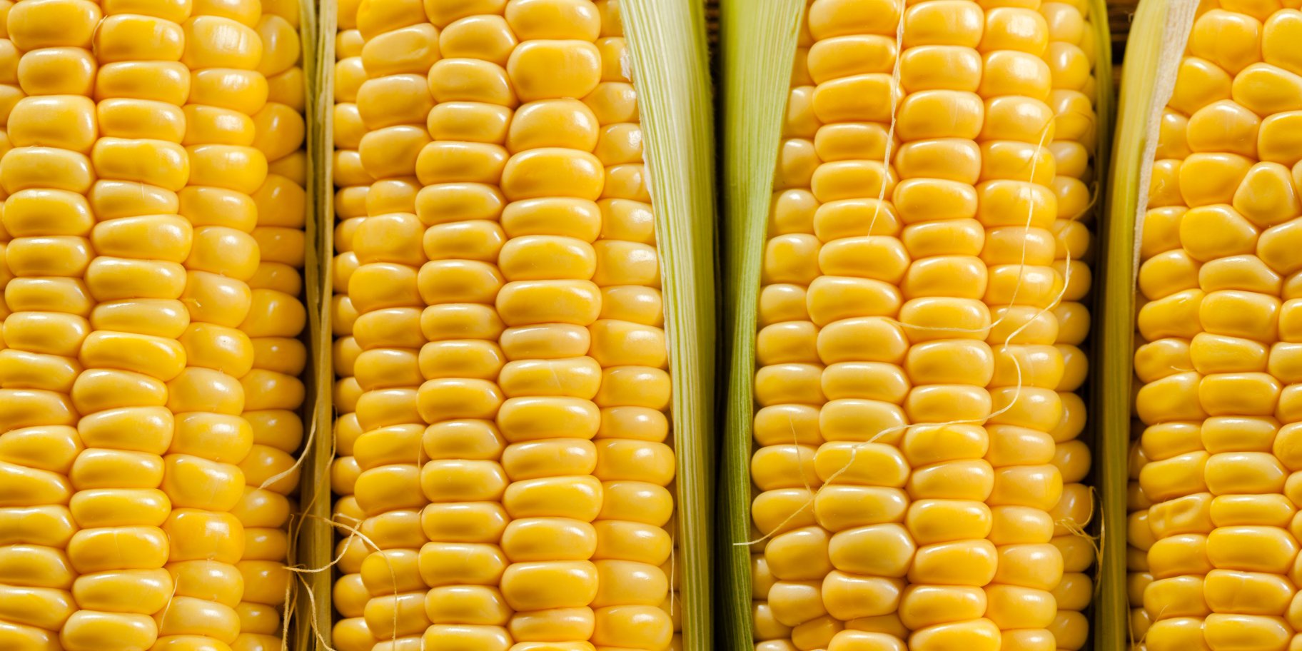 Користь кукурудзи