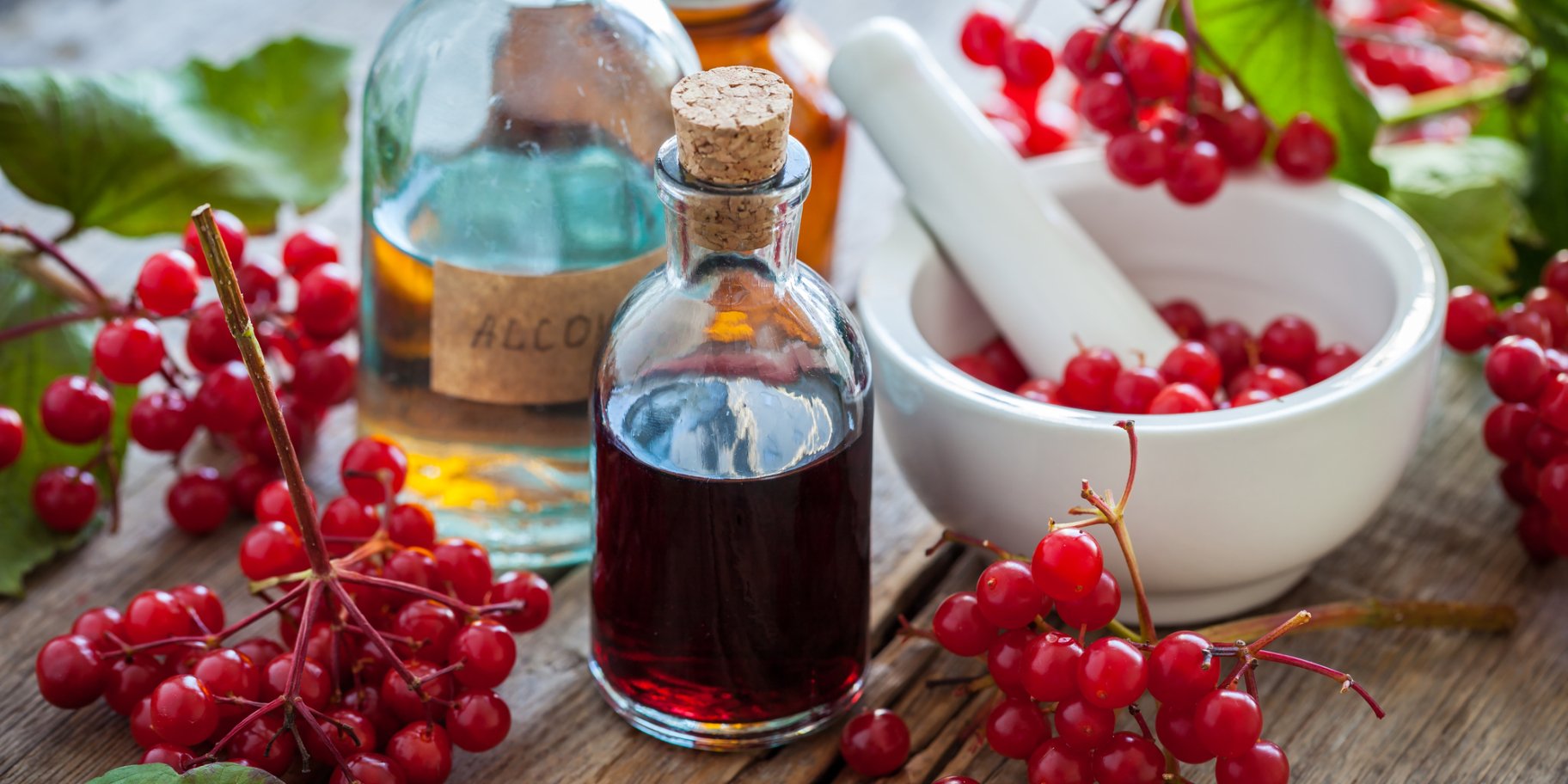 Калиновая настойка на коньяке с медом