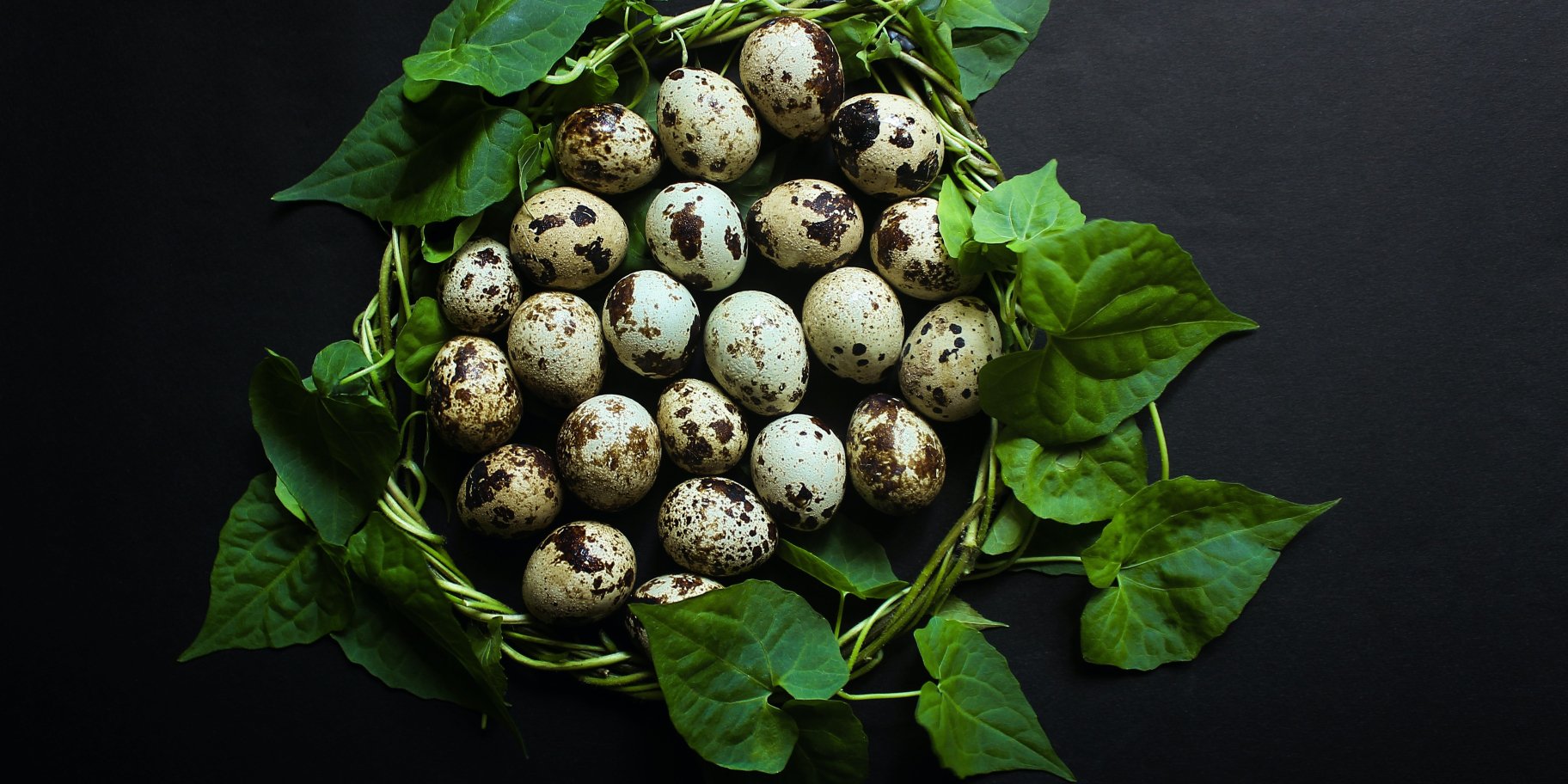 Перепелині яйця