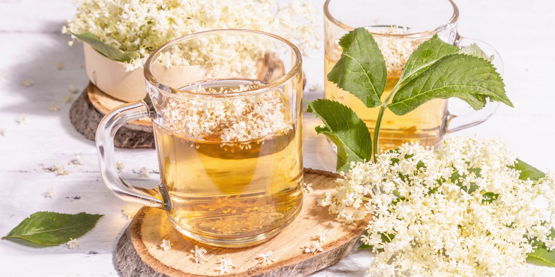 Квас із бузини