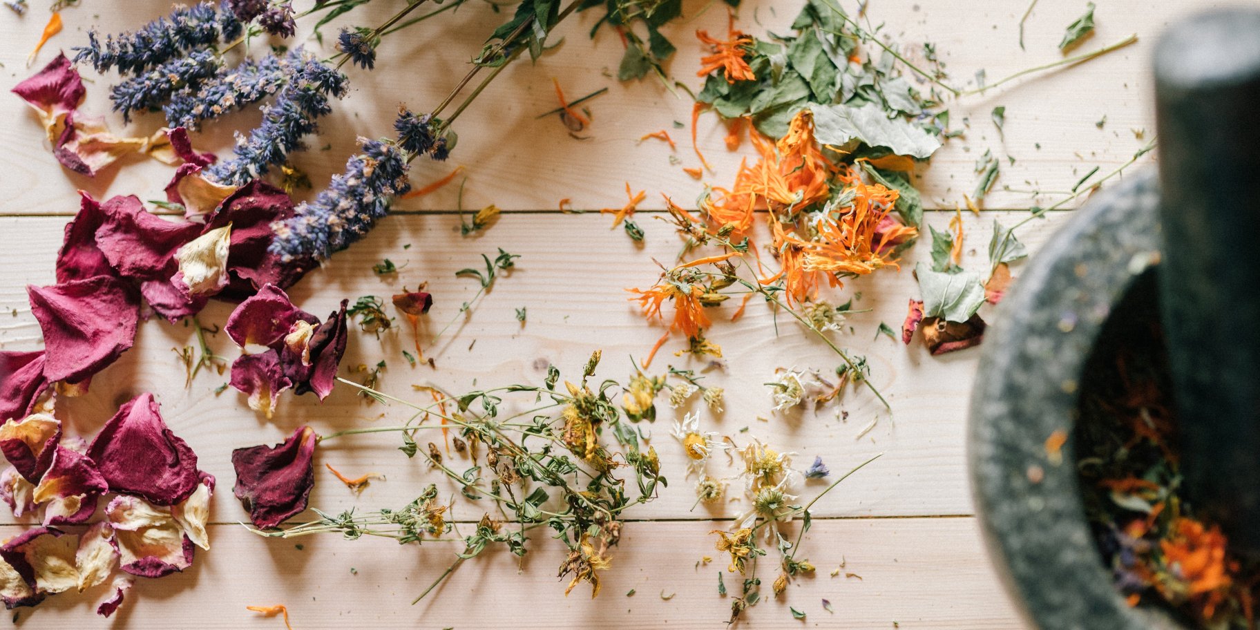 как правильно сушить травы