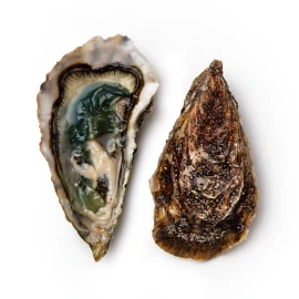 Устриця Спеціаль №2, шт