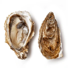 Устриця Fin de clair (Фін де клер) №3, шт