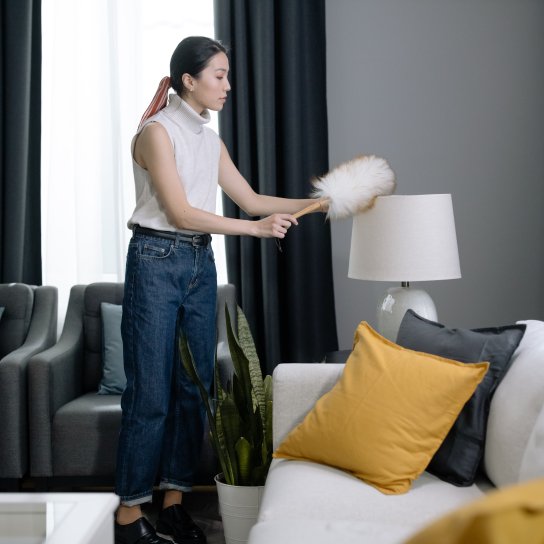 алергія на пил