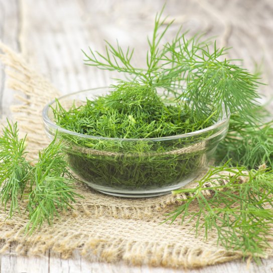 Кріп на зиму