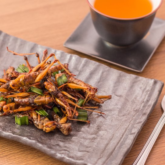 Смажені коники