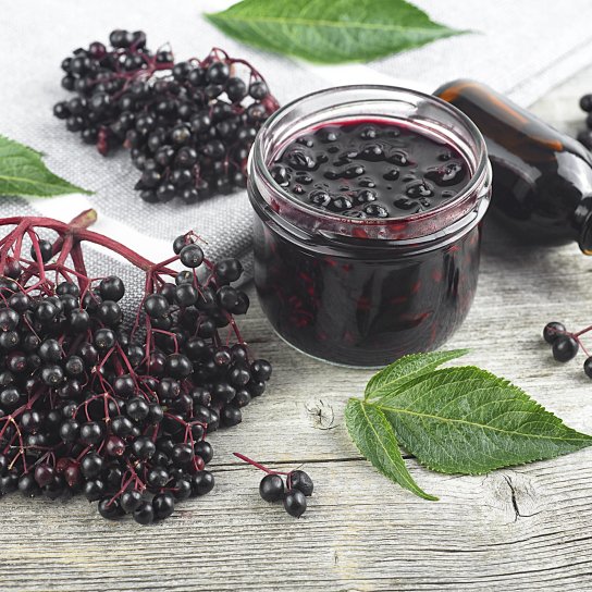 Желе із бузини