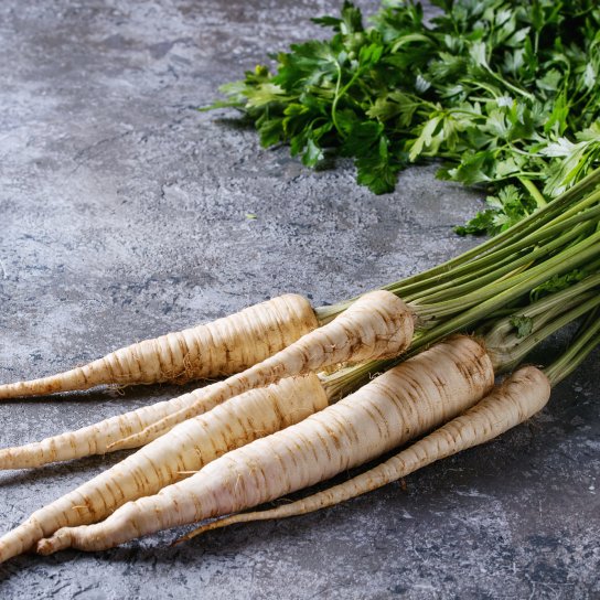 корінь петрушки