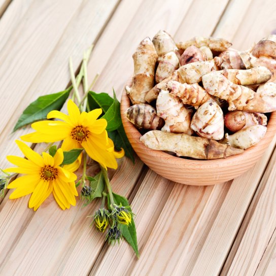 Топінамбур