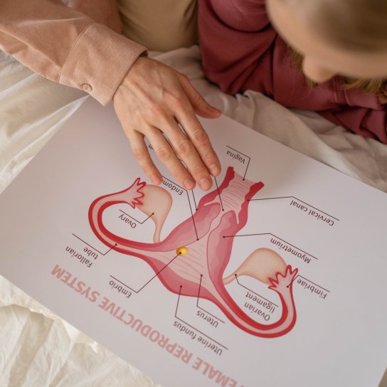 що краще їсти при ендометріозі